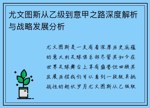 尤文图斯从乙级到意甲之路深度解析与战略发展分析